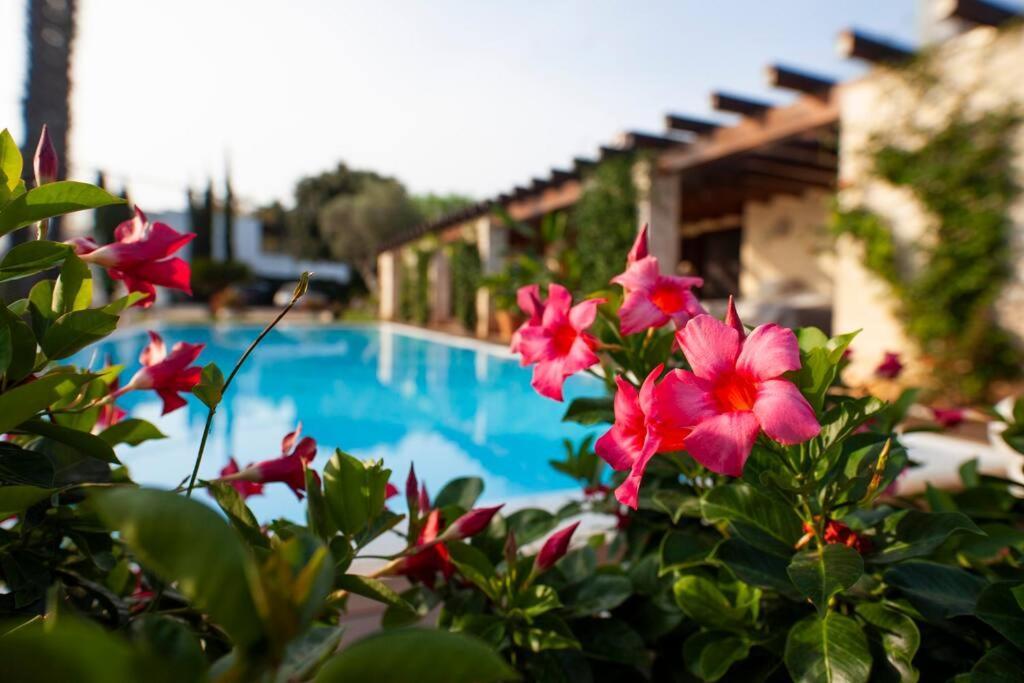 Spaziosa Villa Con Piscina E Giardino, Polignano A Mare Exterior foto